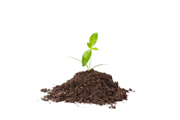 Organic Fertilizer